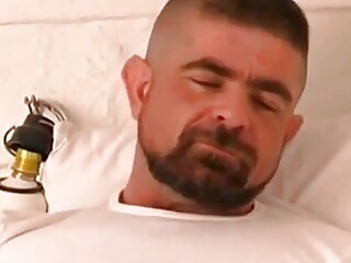 Bears In A Cozy Jail Acquire truly Cozy With Each Others Large penises