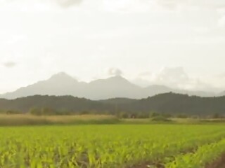 Shy farm boys first time gay sex