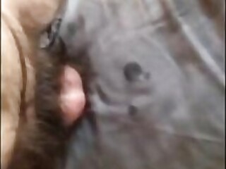 Mature Man Rubbing his Small Hairy Chubby Cock